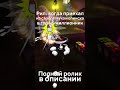 Рил: приехал в город-миллионник из глубинки #ahatintime #stardewvalley