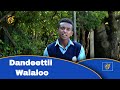 Dandeettii Walaloo Dandeettii Walaloo