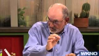 Family Plot - April 30, 2012