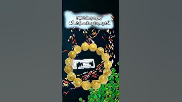 Vòng đeo tay thạch anh tóc vàng thứ hút tài lộc#thạchanhtócvàng #vongtayphongthuy