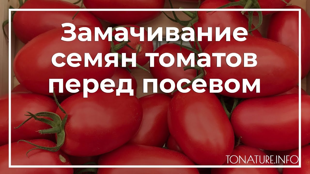 Детерминантный это означает простыми словами