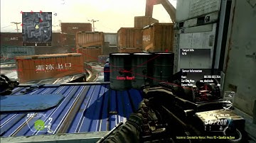 Bo2 - Insomnia v2 FREE Release