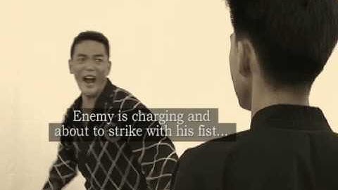 Basic Hapkido Skill: Punch Blocking