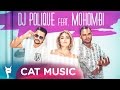 Dj polique feat mohombi  turn me on official