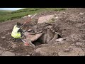 Knockavrogeen west dingle peninsula co kerry  investigation of unclassified megalithic tomb