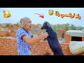 لما ابوك يشتري معزه   و يجيبها البيت   الحقنه السحريه        محمد عماد   علاء حسين