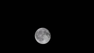 Full Moon - on Thursday morning 4-25-2024 - DSC 0969