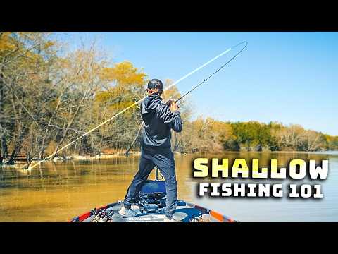 Shallow Spring Bass Fishing Beatdown! (no Scope)