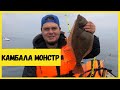 ПОЙМАЛИ КАМБАЛУ-МОНСТРА! МИНТАЙ! Отличный клёв! Морская рыбалка на лодке.