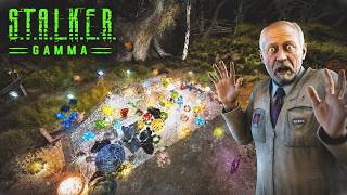 STALKER GAMMA Artefacts / Pelts Guide ( 2026 ) Beginner's Guide