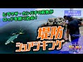 堤防からヒラマサ&カンパチ!鹿児島県のライトショアジギング