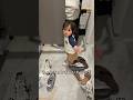 マジでびびった😂カルくんお姉ちゃんの靴好きみたい😂#サンバ夫婦 #カルくん#おすすめ