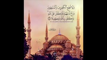 🎧 تلاوة عذبة وخاشعة بصوت الشيخ بدر التركي تأسر القلوب 🌿