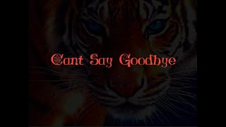 Adelitas Way~Can't Say Goodbye~Lyrics