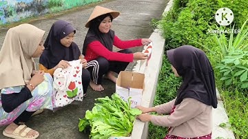 Cahaya di Tengah Gelap