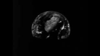 275136152735147504