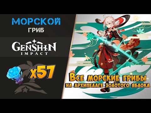 МОРСКОЙ ГРИБ. ЛУЧШИЙ МАРШРУТ. СБОР 57 ШТУК. МАТЕРИАЛ ДЛЯ КАЗУХИ | Genshin Impact 1.6