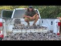 Insane DOVE Hunt On OPENING MORNING! {Catch Clean Cook}