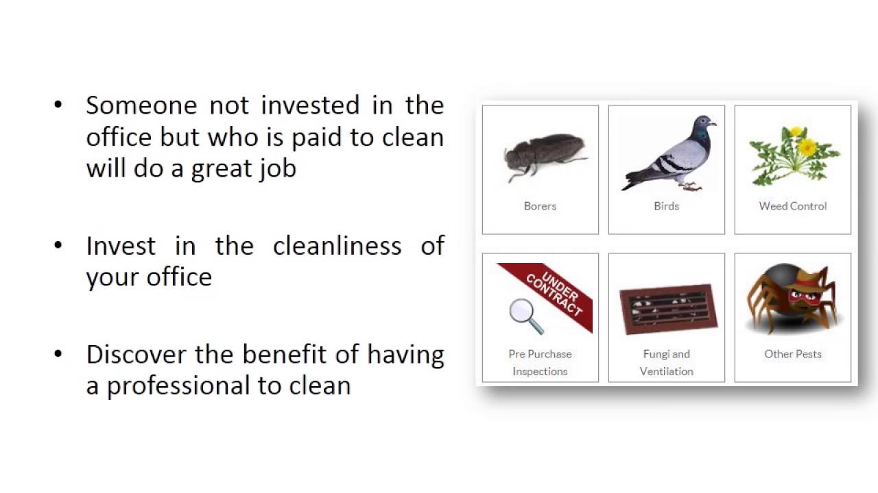 Top 4 Ways To Prevent Pest Infestations In The Office