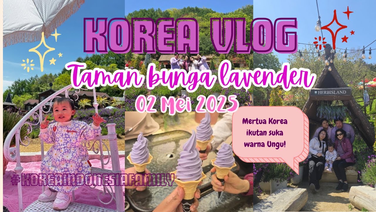 Mertua Korea ikutan Ungu-Ungu 🤣💜Taman bunga Lavender🪻
