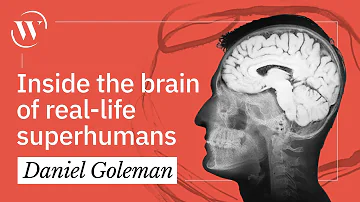 Superhumans: The remarkable brain waves of high-level meditators | Daniel Goleman