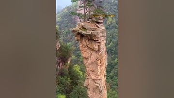 (اليوم نختم على أفواههم وتكلمنا أيديهم وتشهد أرجلهم بما كانوا يكسبون) تلاوه بصوت:#أحمد_عنيزات