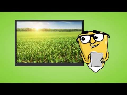 The Life Cycle of GMO Seeds Explained | GMO Answers