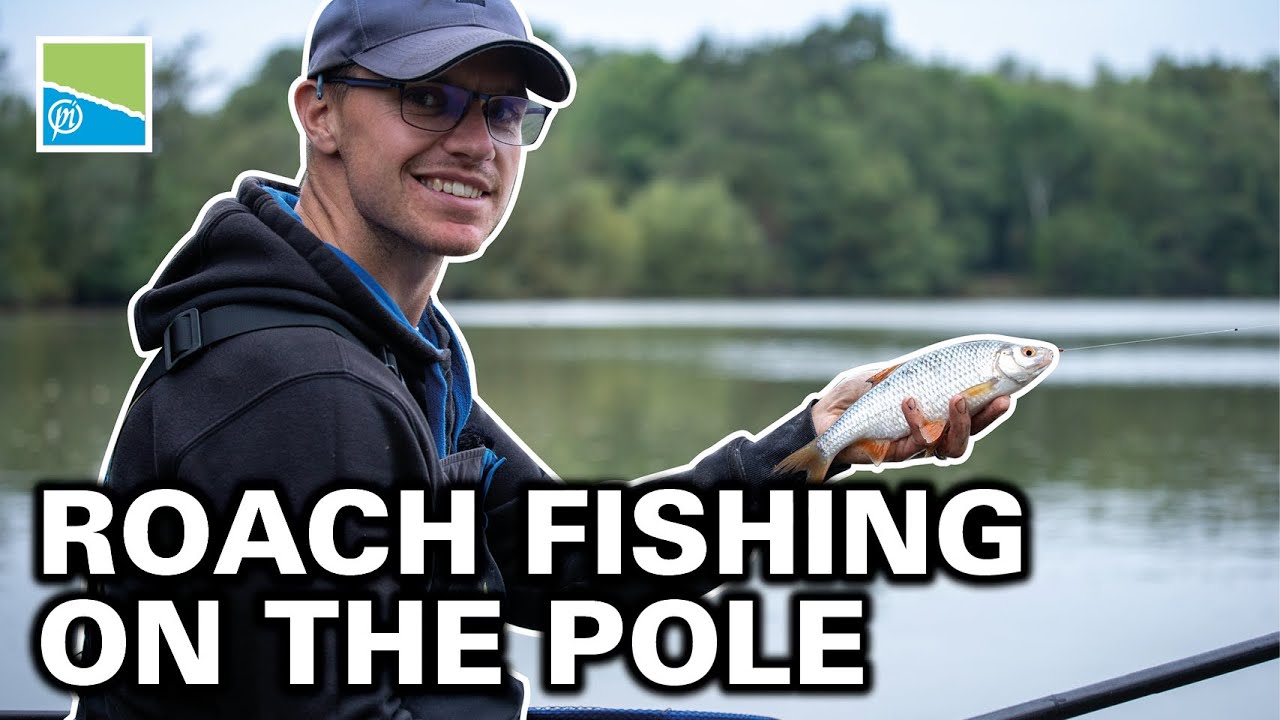 Roach Fishing On The Pole! 