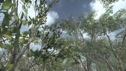 Call Of Duty Black Ops Tomahawk on JUNGLE **MUST SEE**