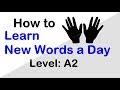 How to Learn 10 New Words a Day | Desi Learn German | Urdu/Hindi | Level A2