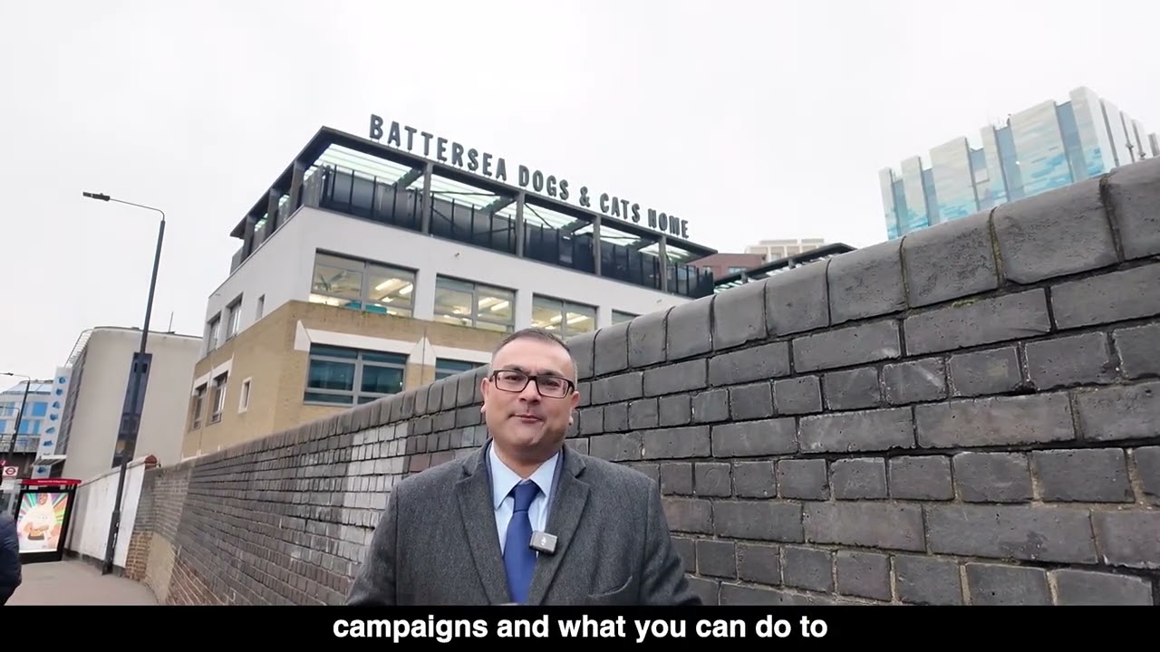 Battersea Cats and Dogs Home - 8th January 2025