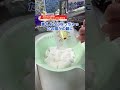 いじめは快感？｜簡単で美味しいマシュマロアレンジで作るミルクプリンレシピ #shorts #料理 #簡単レシピ #お菓子
