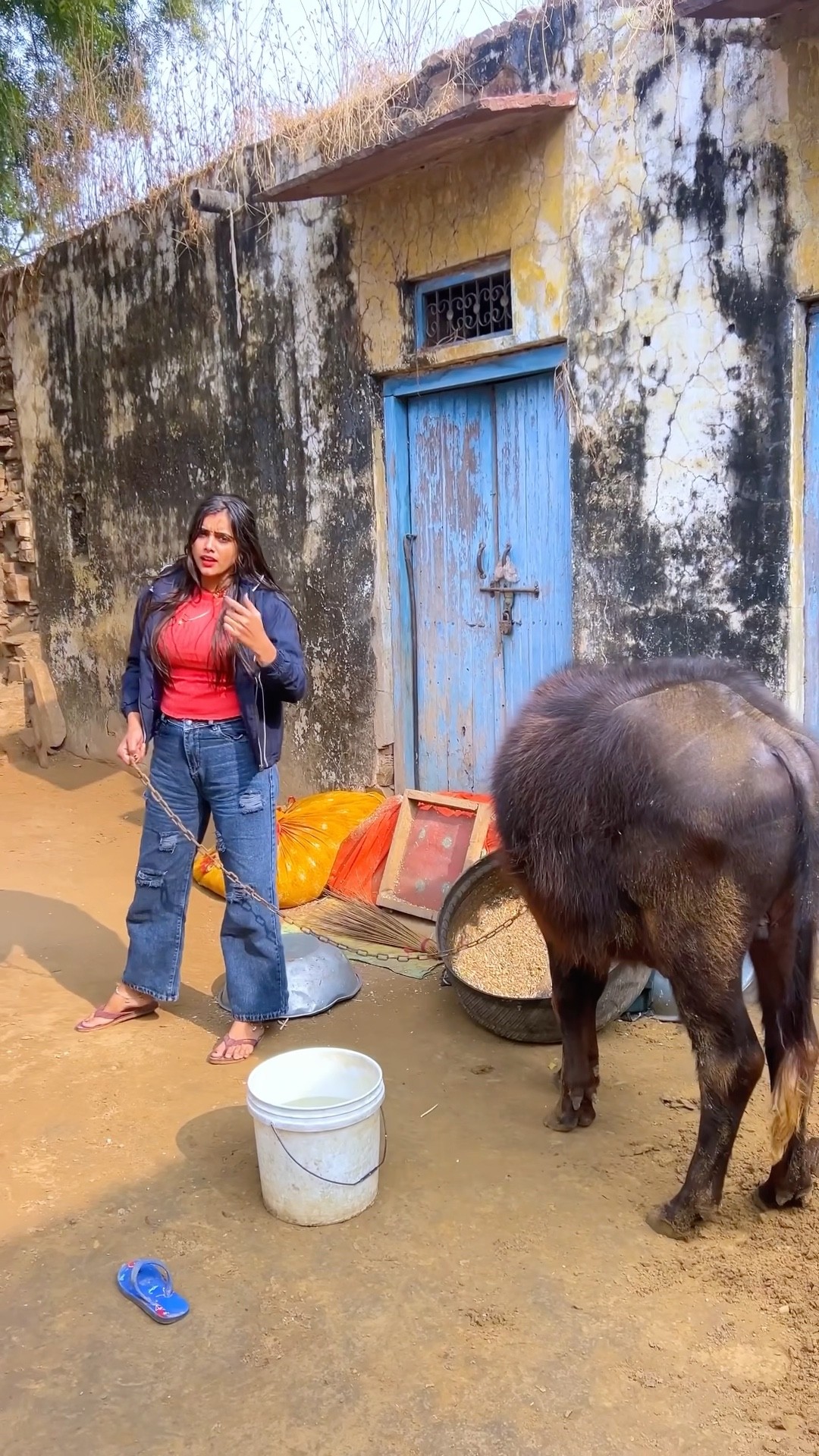 ये पाड़ा किस किस को चाहिये #meenu #love #trending #ytshorts