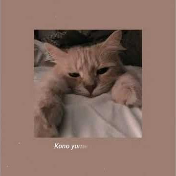 Story wa || Lagu Yang Sempat Viral ~ Lagu Kimi No Toriko 30 detik