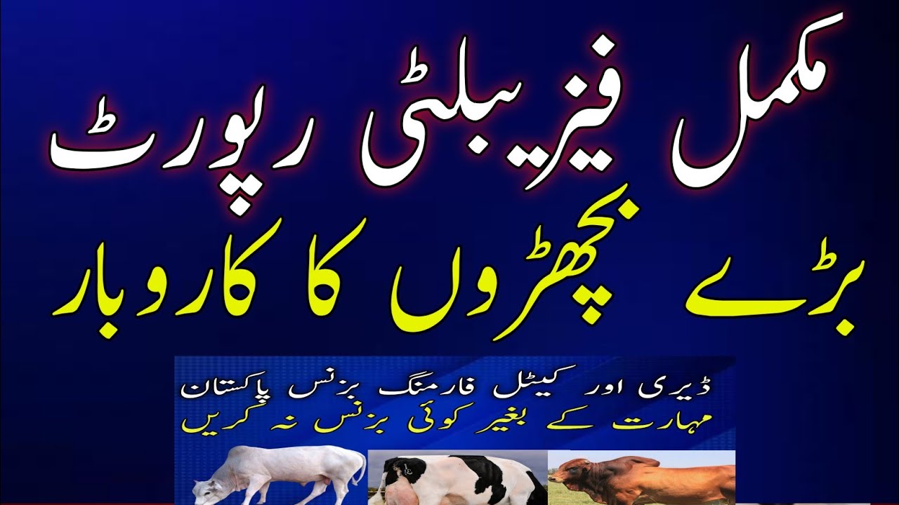 How to do katta washa farming in pakistan fattening animal