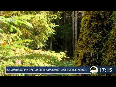 საქართველოს ეროვნული პარკებით აშშ დაინტერესდა