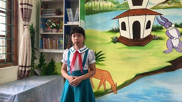 Tham dự cuộc thi hùng biện tỉnh Quảng Ninh - Đào Khánh Vy - Lớp 4B - Trường Tiểu học Mạo Khê A