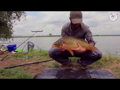 ფიდერით სპორტული თევზჭერა დებედას ტბაზე. feeder fishing on Debeda Lake, Georgia