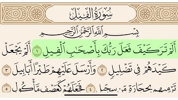 سورة الفيل مكتوبة بصوت سعد الغامدي