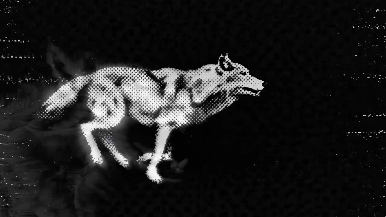 Lex On - ALPHA (Official Visualizer)