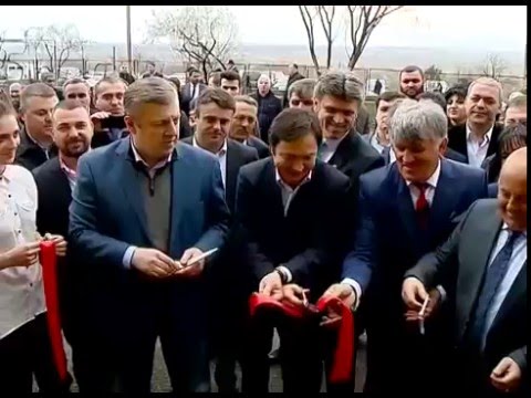 ზეთისხილის გადამამუშავებელი საწარმოს გახსნა