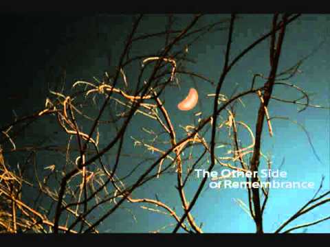 박정현의 One Summer Night