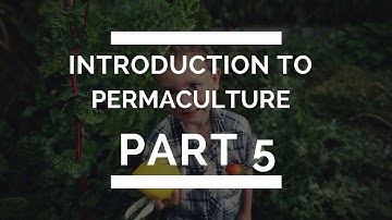 Introduction to Permaculture Part 5 - Curb Cuts,  Wicking Beds & Our Water Design Process