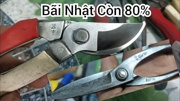 kéo cắt cành bãi Nhật | hàng chất - mức hợp lý | kiểm tra mới thanh toán