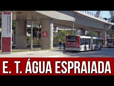 Vídeo: Como Usar O ônibus Aquático Para A Estação De Metrô Myakinino