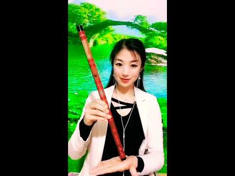 《上海滩》G调筒音作2，竹笛演奏笛子1款一节，学习网络视频在线一对一课程指导，选购乐器直播背景布声卡麦克风苹果安卓手机直播1号转换器音频线设备等请留言！