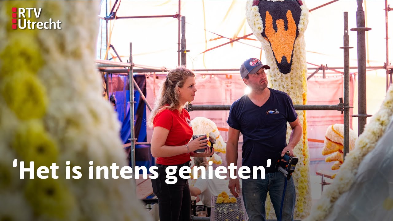Na maanden werk en ruim een miljoen dahlia's is Leersum klaar voor het bloemencorso  | RTV Utrecht