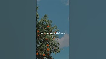 سورة البقرة - الآية ٢١٦