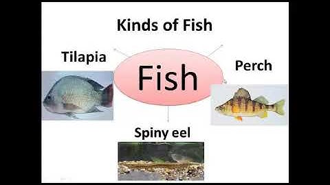 connect plus prim 2 unit 9 part 2