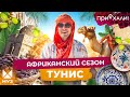 ТУНИС | Сокровища в пустыне, Голливуд на барханах и котики | Приехали!